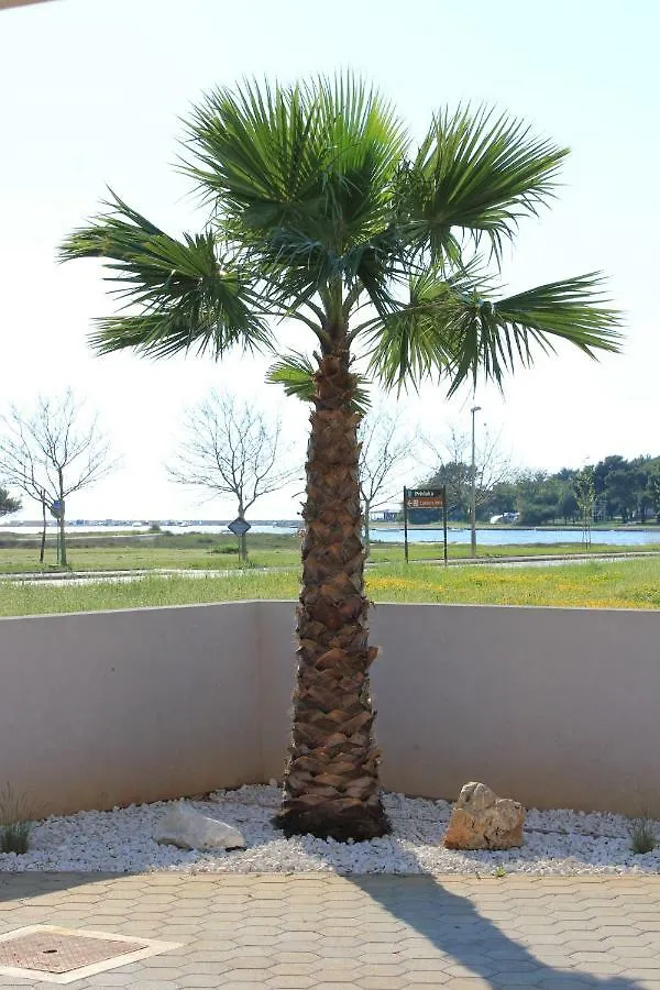 Apartmani Tereza Gostinjska kuća Privlaka (Zadar)